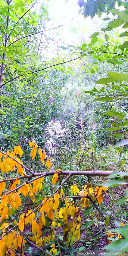 Про Нафочку. В страшном месте - Заброшка семи гробов (фото 3)