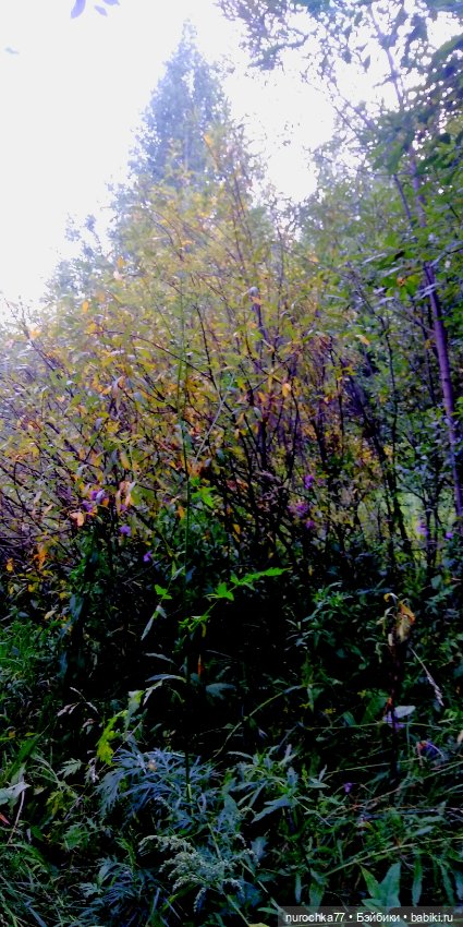 Про Нафочку. В страшном месте - Заброшка семи гробов (фото 4)