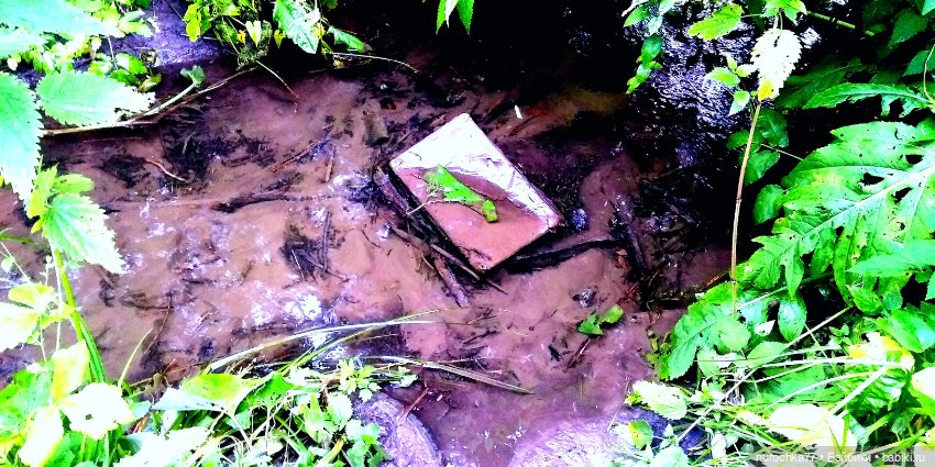 Про Нафочку. В страшном месте - Заброшка семи гробов (фото 7)