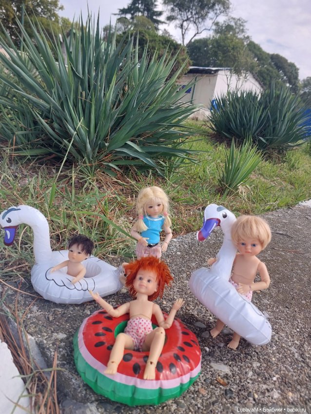 Лучшие друзья в Сочи — Интересное обо всем: поздравления