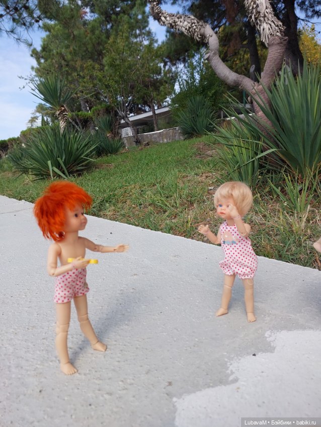 Лучшие друзья в Сочи — Интересное обо всем: поздравления