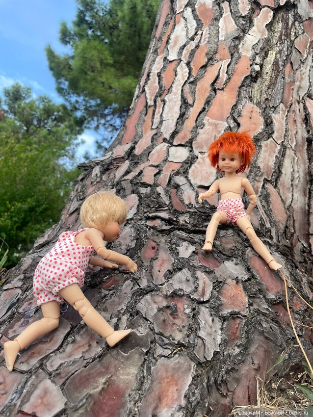 Лучшие друзья в Сочи — Интересное обо всем: поздравления