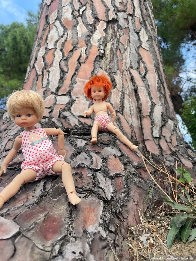 Лучшие друзья в Сочи — Интересное обо всем: поздравления