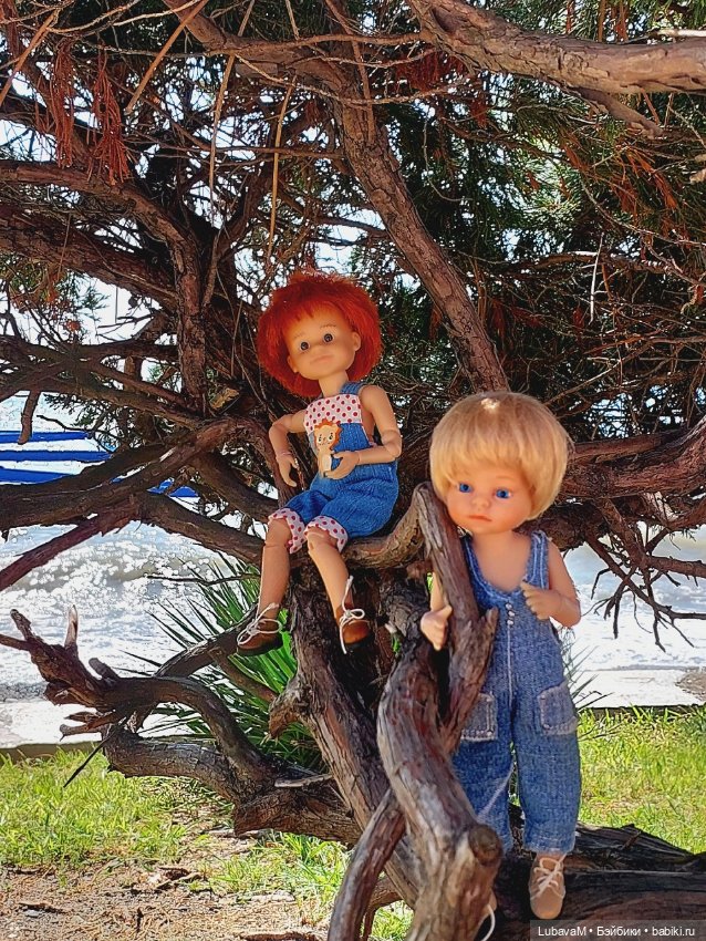 Лучшие друзья в Сочи — Интересное обо всем: поздравления