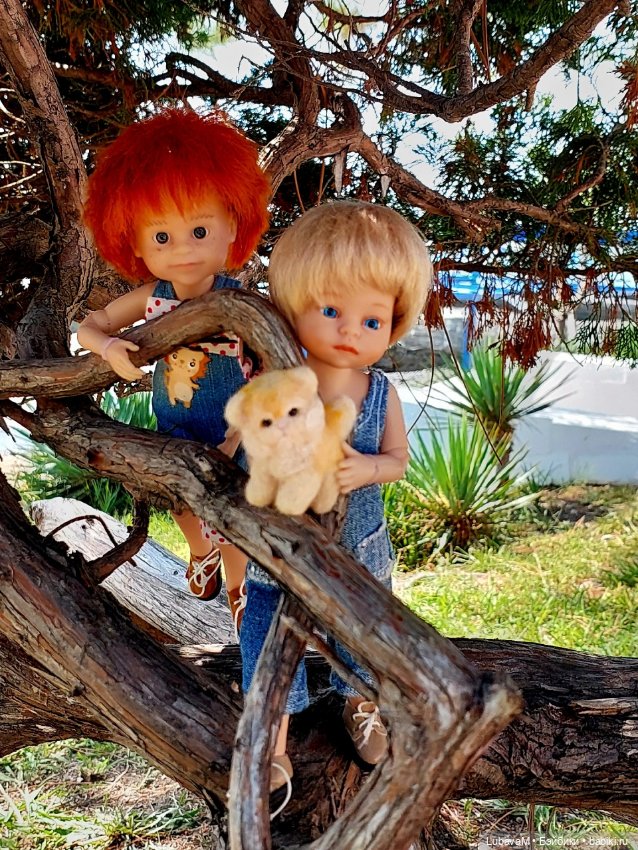 Лучшие друзья в Сочи — Интересное обо всем: поздравления