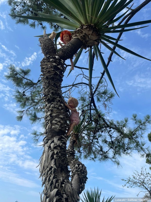 Лучшие друзья в Сочи — Интересное обо всем: поздравления