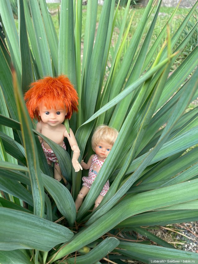 Лучшие друзья в Сочи — Интересное обо всем: поздравления