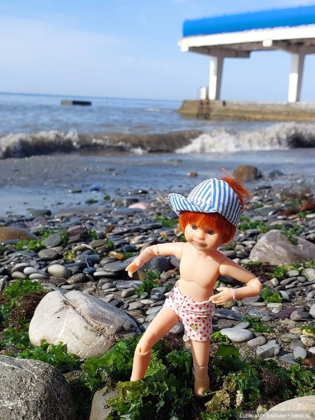 Лучшие друзья в Сочи — Интересное обо всем: поздравления