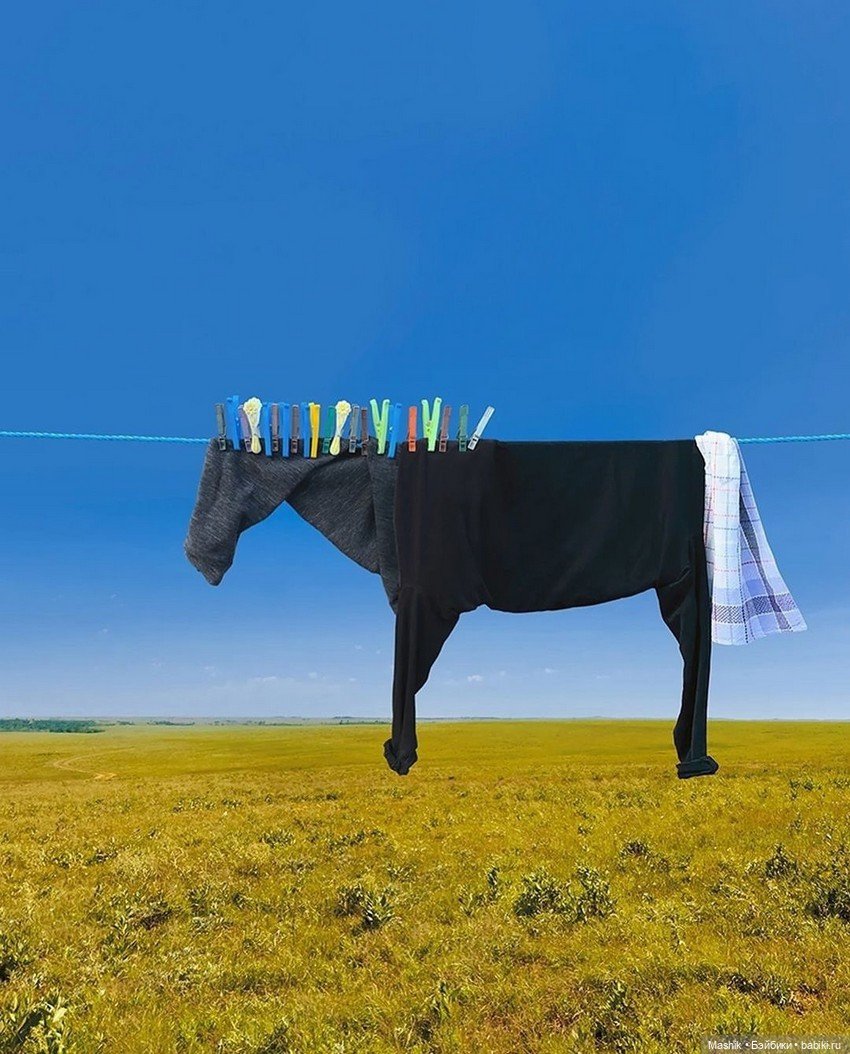 Проект Helga Stentzel — В мире животных: смешные фото питомцев и зверей (фото 9)