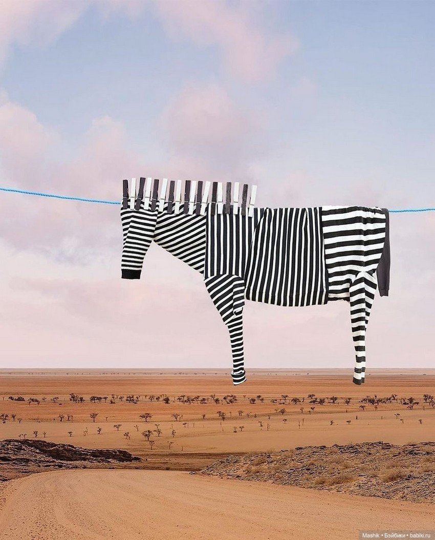 Проект Helga Stentzel — В мире животных: смешные фото питомцев и зверей (фото 5)