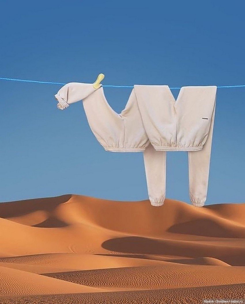 Проект Helga Stentzel — В мире животных: смешные фото питомцев и зверей (фото 10)