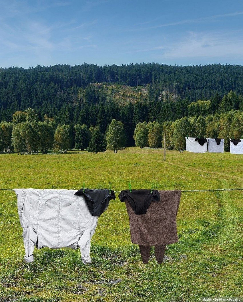 Проект Helga Stentzel — В мире животных: смешные фото питомцев и зверей (фото 6)