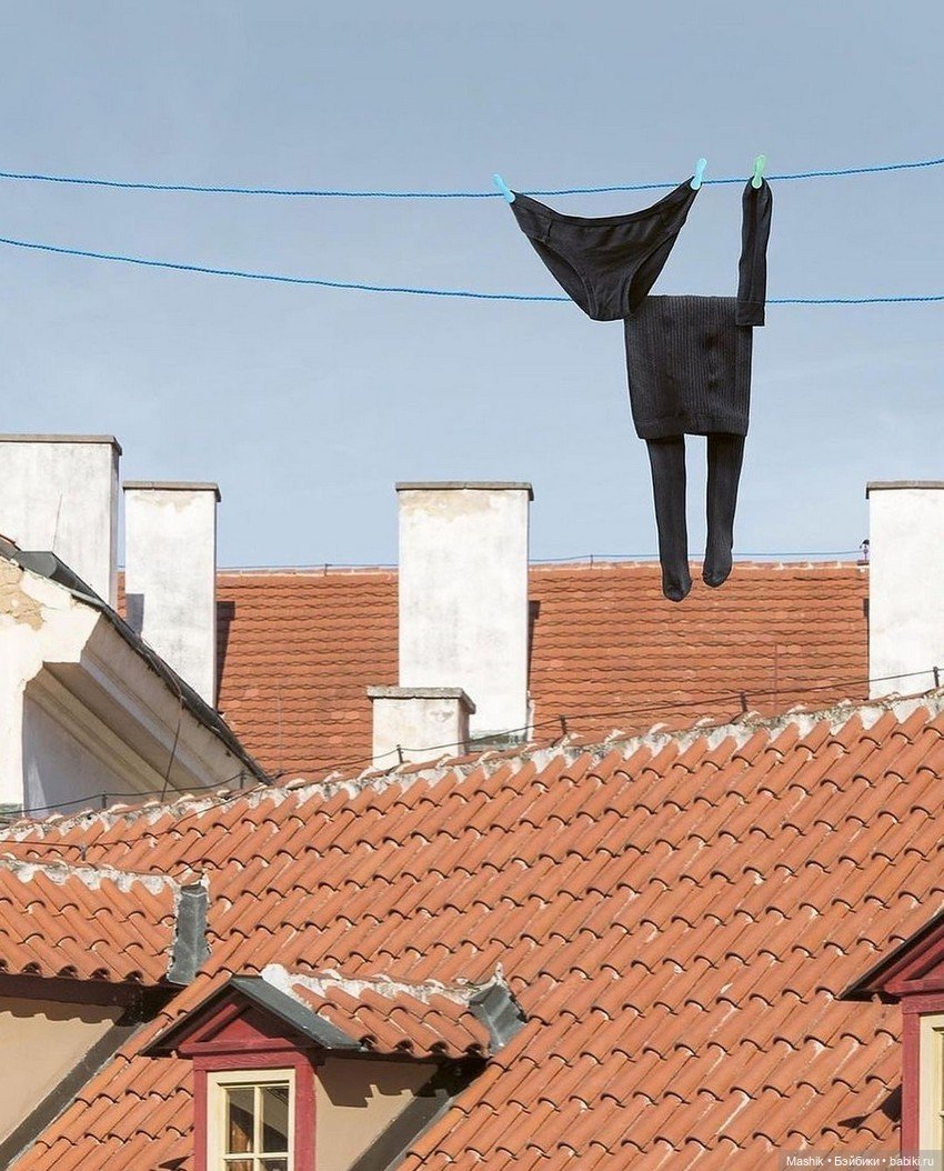 Проект Helga Stentzel — В мире животных: смешные фото питомцев и зверей (фото 8)