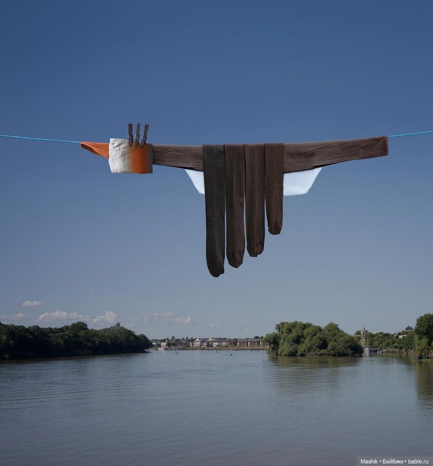 Проект Helga Stentzel — В мире животных: смешные фото питомцев и зверей (фото 7)