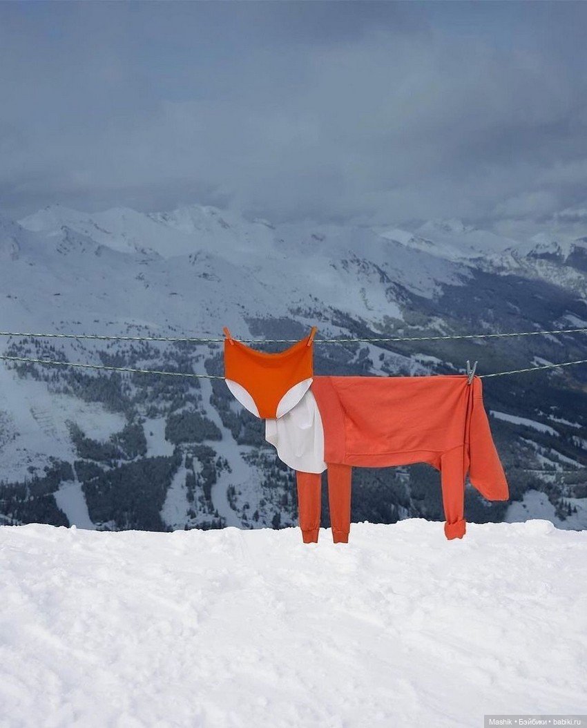 Проект Helga Stentzel — В мире животных: смешные фото питомцев и зверей (фото 3)