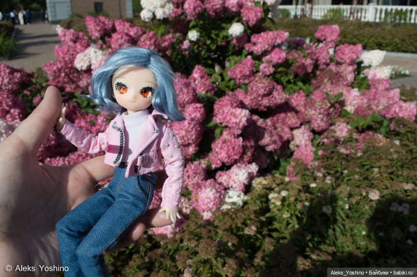 Прогулка зайцев — Коллекции шарнирных