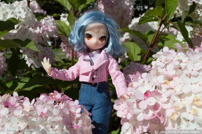 Прогулка зайцев — Коллекции шарнирных