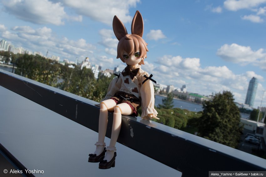 Прогулка зайцев — Коллекции шарнирных