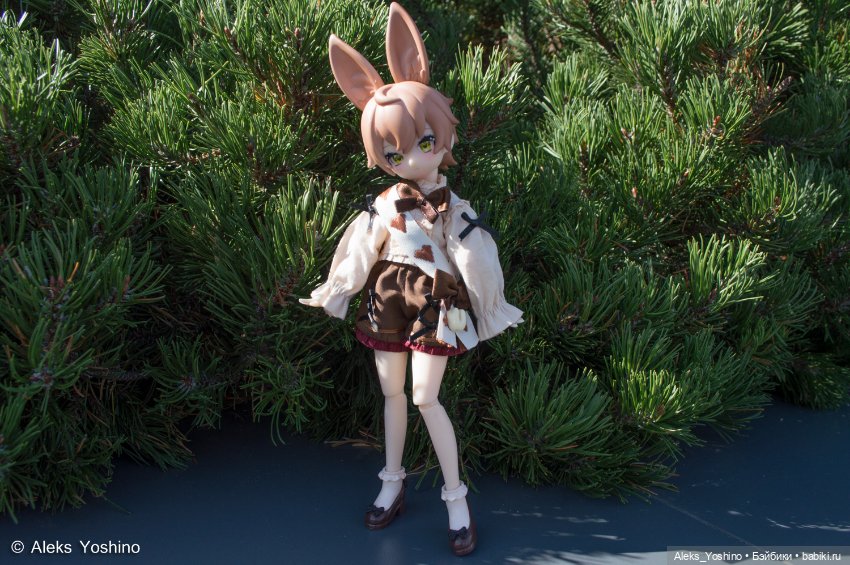 Прогулка зайцев — Коллекции шарнирных