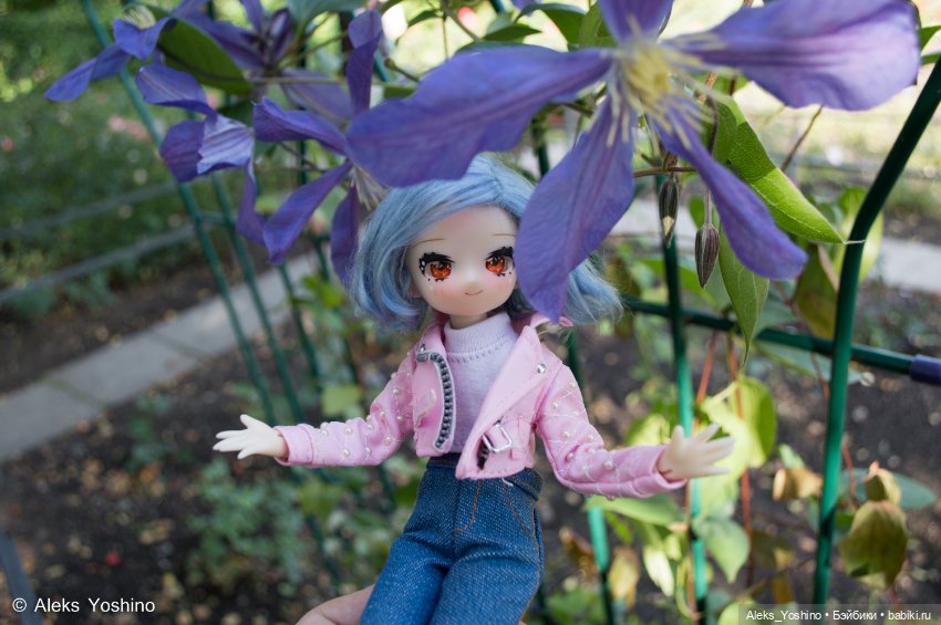 Прогулка зайцев — Коллекции шарнирных