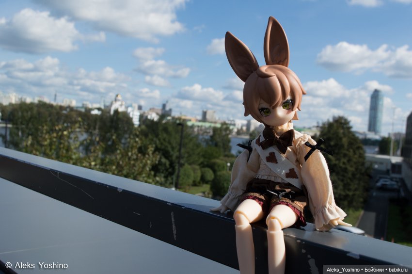 Прогулка зайцев — Коллекции шарнирных