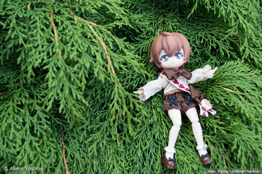 Прогулка зайцев — Коллекции шарнирных