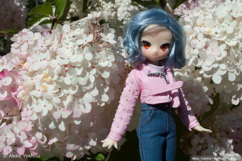 Прогулка зайцев — Коллекции шарнирных