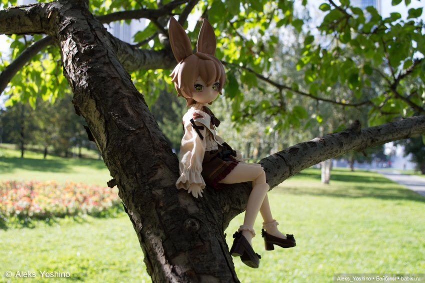 Прогулка зайцев — Коллекции шарнирных