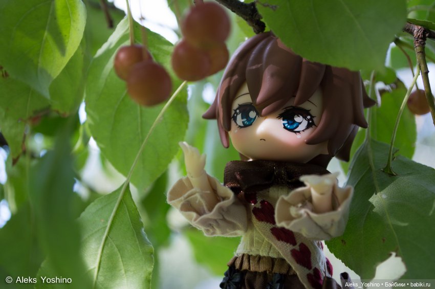 Прогулка зайцев — Коллекции шарнирных