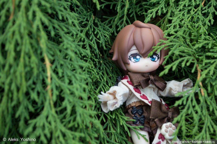 Прогулка зайцев — Коллекции шарнирных