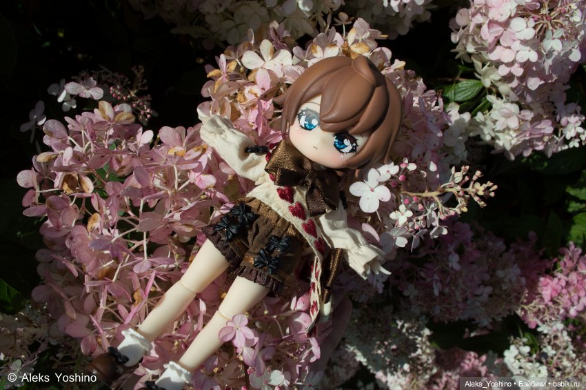 Прогулка зайцев — Коллекции шарнирных