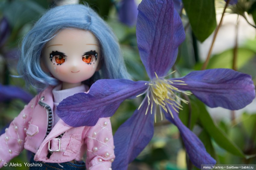 Прогулка зайцев — Коллекции шарнирных