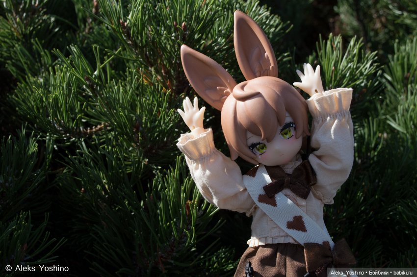 Прогулка зайцев — Коллекции шарнирных