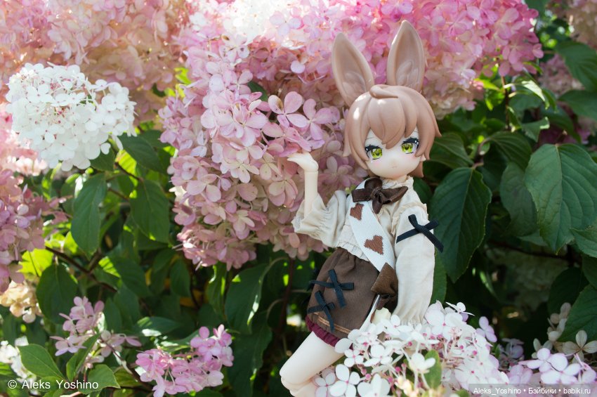 Прогулка зайцев — Коллекции шарнирных