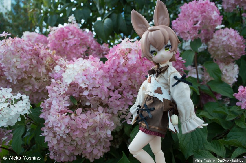 Прогулка зайцев — Коллекции шарнирных