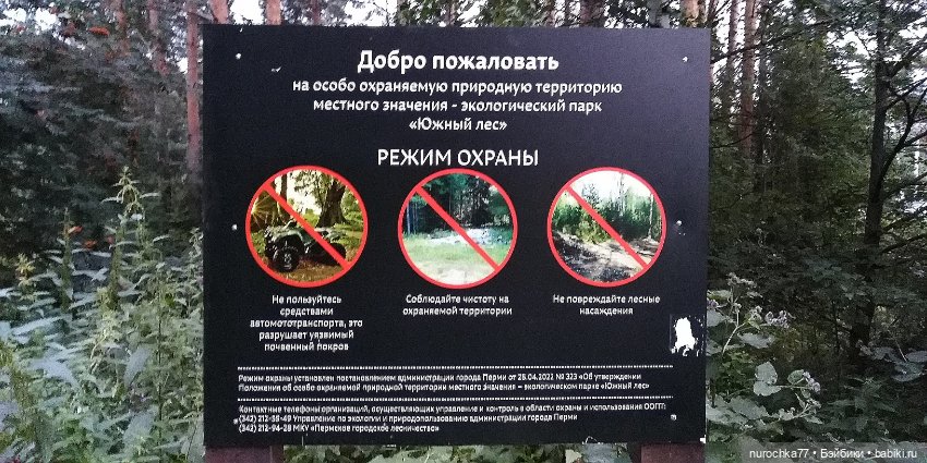 Про Нафочку. Нафочка и тёмный лес