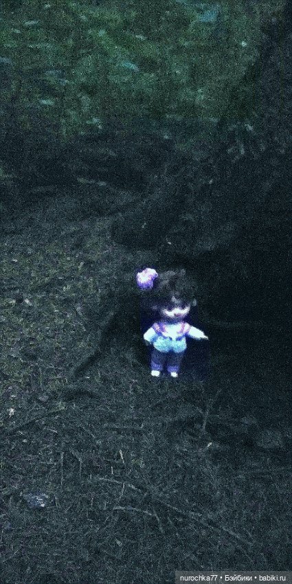 Про Нафочку. Нафочка и тёмный лес