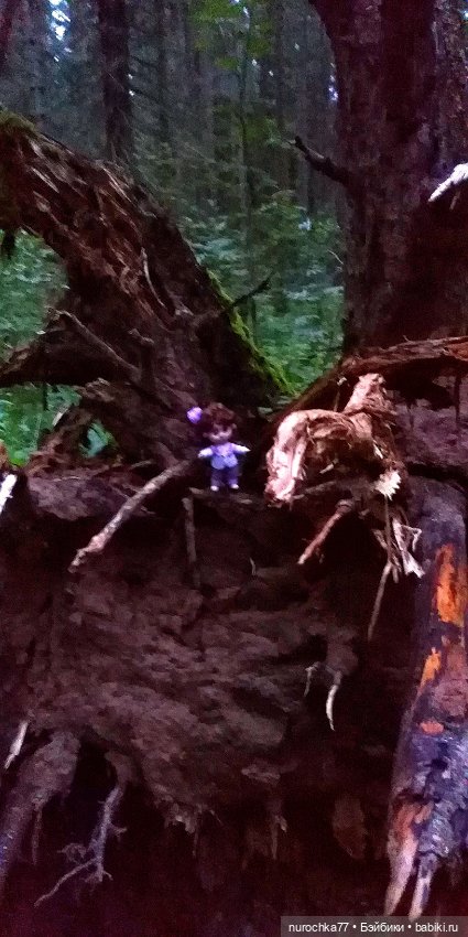 Про Нафочку. Нафочка и тёмный лес