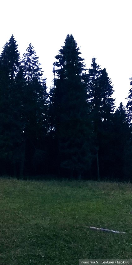 Про Нафочку. Нафочка и тёмный лес