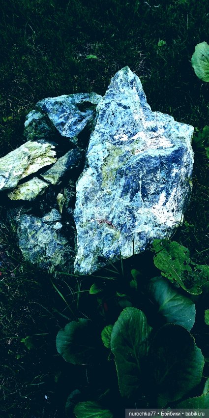 Про Нафочку. Нафочка и тёмный лес (фото 2)