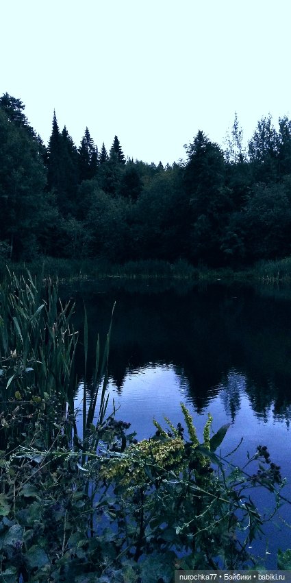 Про Нафочку. Нафочка и тёмный лес (фото 8)