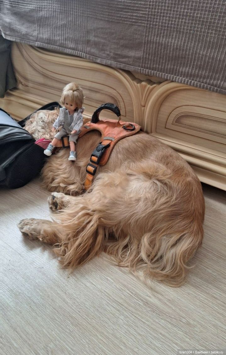 ИЗ ЖИЗНИ КУКОЛ Как они отдыхают Летний Архыз (фото 7)