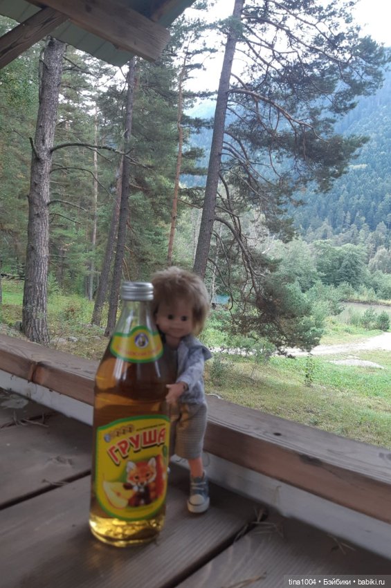 ИЗ ЖИЗНИ КУКОЛ Как они отдыхают Летний Архыз (фото 5)