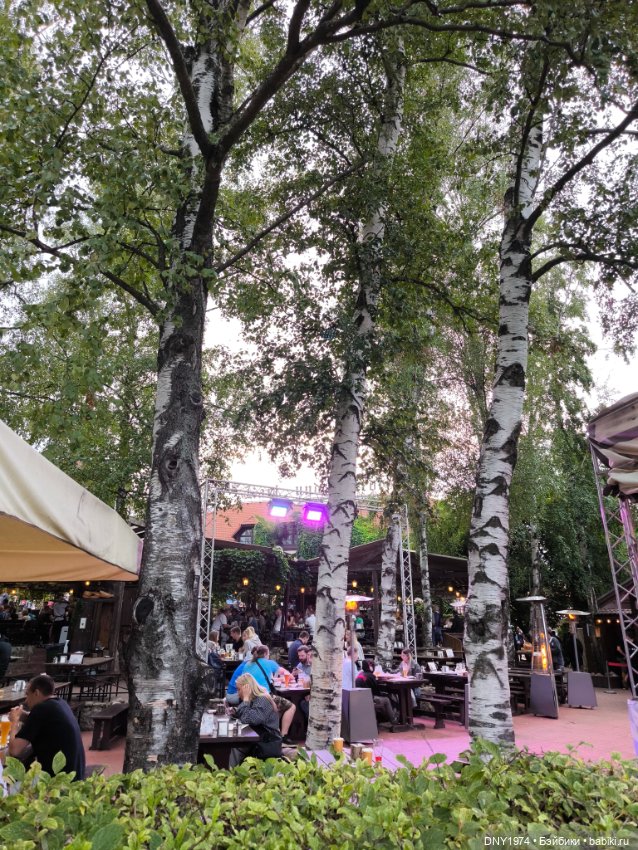 Сид в гостях у Франца и Фридриха