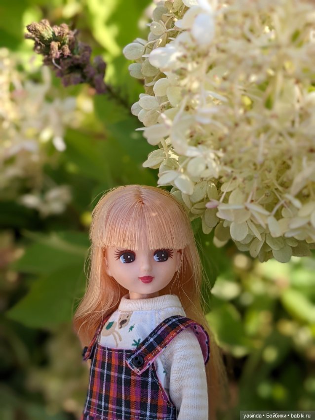 Я сделала это — Куклы Takara Tomy (Такара): Licca (Ликка)