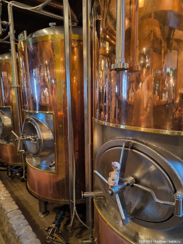 Сид в гостях у Франца и Фридриха