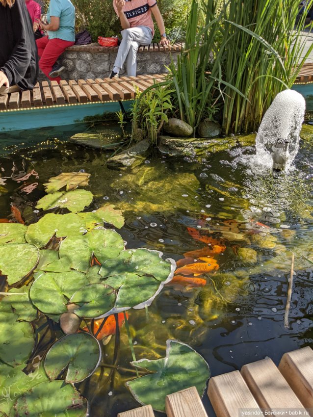 Я сделала это — Куклы Takara Tomy (Такара): Licca (Ликка)