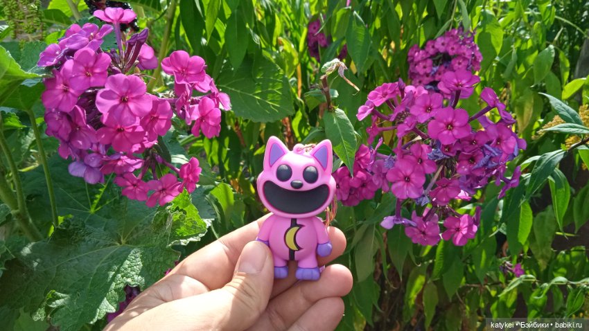 Прогулки по городу с Дримом