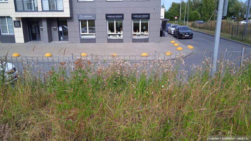 Прогулки по городу с Дримом