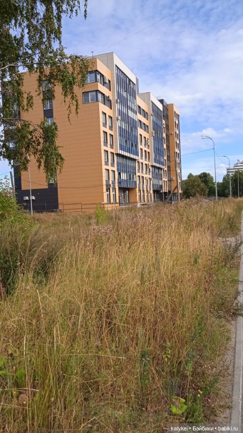 Прогулки по городу с Дримом